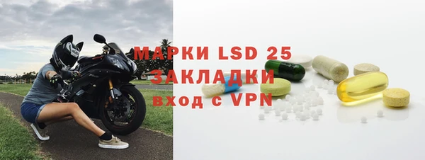 гашик Аркадак