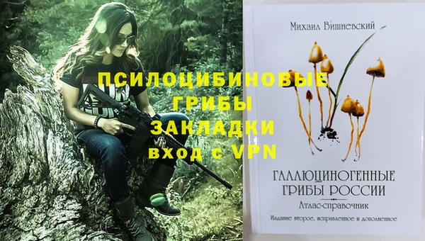 меф Арсеньев