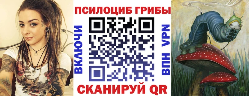 MEGA как зайти  Руза  Псилоцибиновые грибы мицелий  где найти  